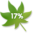 17%