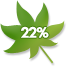 22%