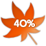 40%