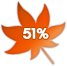 51%