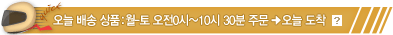 ¿À´Ã ¹è¼Û »óǰ : ¿ù-±Ý ¿ÀÀü0½Ã~10½Ã30ºÐ ÁÖ¹®=¿À´Ã µµÂø