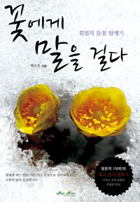 �ɿ��� ���� �ɴ�