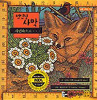 ������ �縷 - �ڿ�������