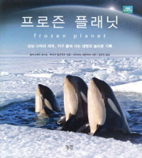 ������ �÷���