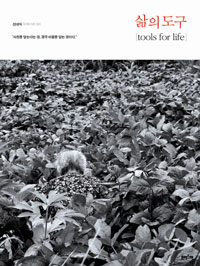 ���� ����