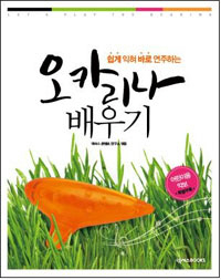 ���� ���� �ٷ� �����ϴ� ��ī���� ���� [������]