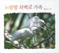 ����� ���� ����