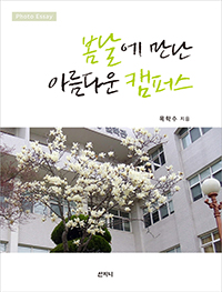 ������ ���� �Ƹ��ٿ� ķ�۽�