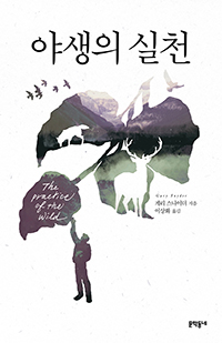 �߻��� ��õ