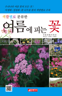 ������ �Ǵ� ��