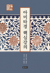 �ƹ�Ÿ�� �ٽɰ���