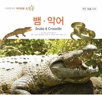 졤Ǿ - ť͸ ڿ ƮŬ   