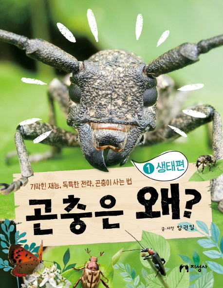 ������ ��? 1 ������