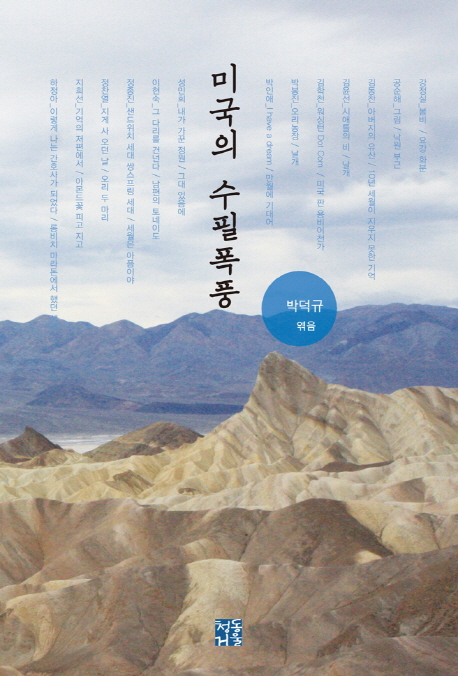 �̱��� ������ǳ