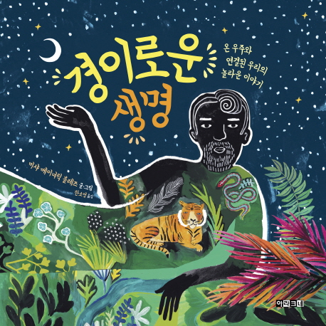 ���̷ο� ����