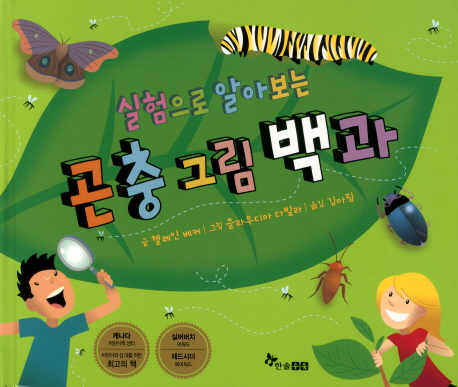 �������� �˾ƺ��� ���� �׸����