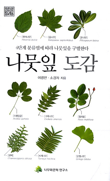 ������ ����[������]