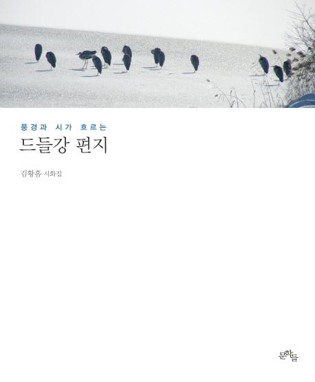 ��鰭 ����