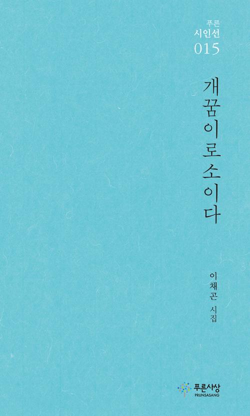 �����̷μ��̴�