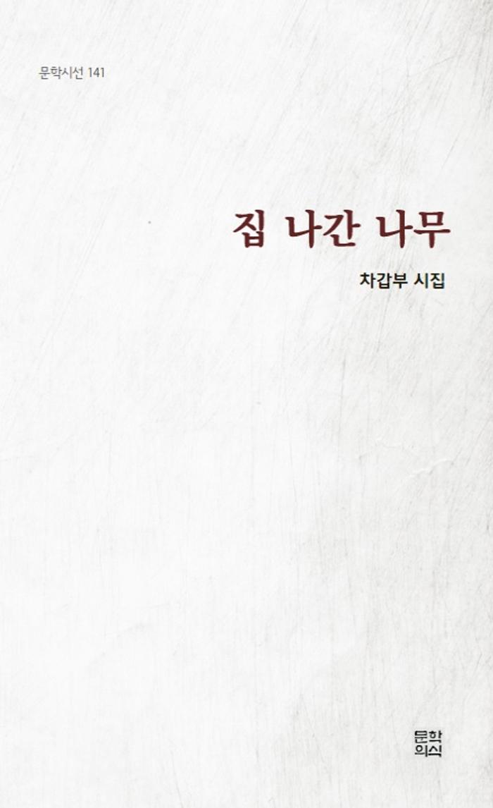 �� ���� ����