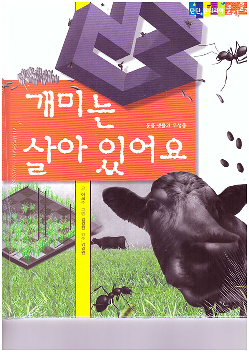 ���̴� ����־��