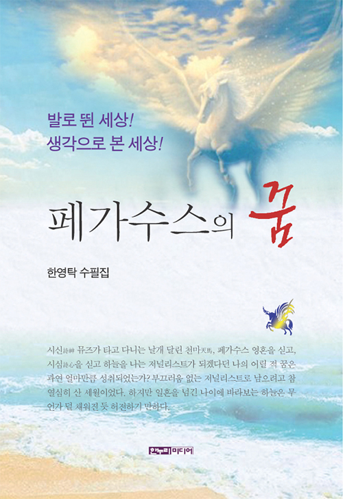 �䰡������ ��