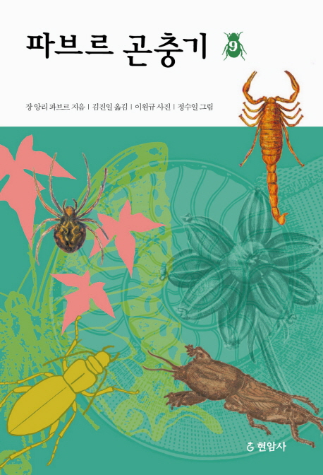 �ĺ긣 ����� 9