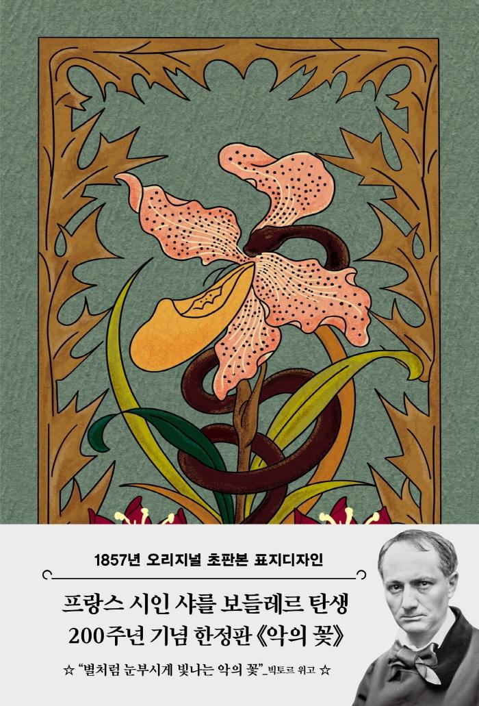 ���Ǻ� ���ǲ�