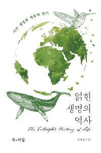 ���� ������ ����