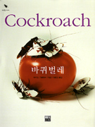 -COCKROACH